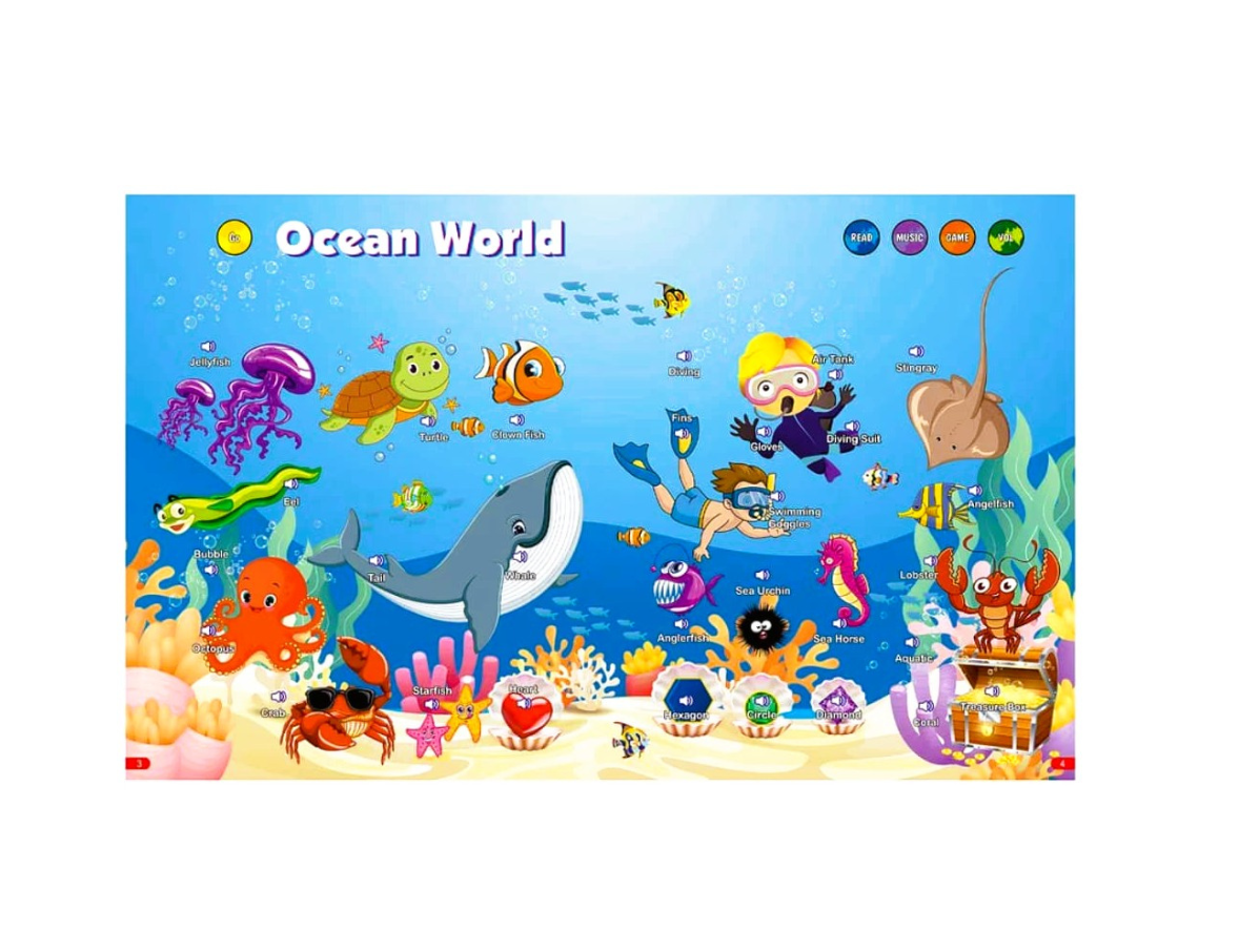 Learn & Play Interactive Sound Book - Brightmind Express